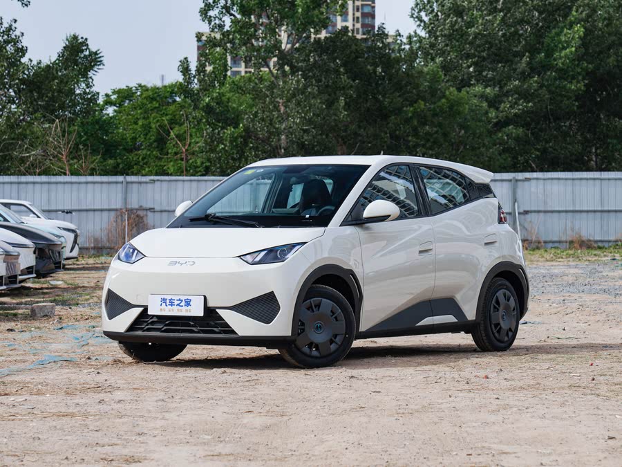 Фото 1 - BYD Seagull