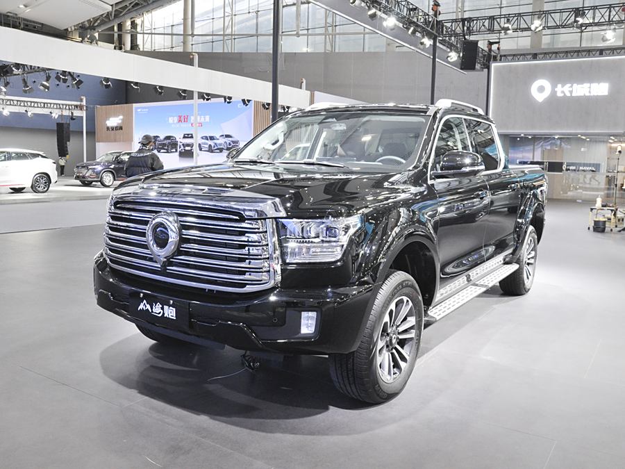 Фото 1 - Great Wall Shanhai Poer