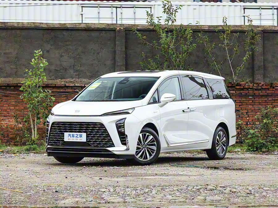 Фото 1 - Buick GL8 ES