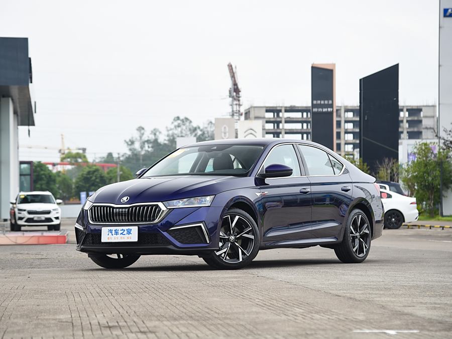 Фото 1 - Skoda Octavia Pro