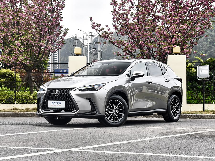 Фото 1 - Lexus NX Hybrid
