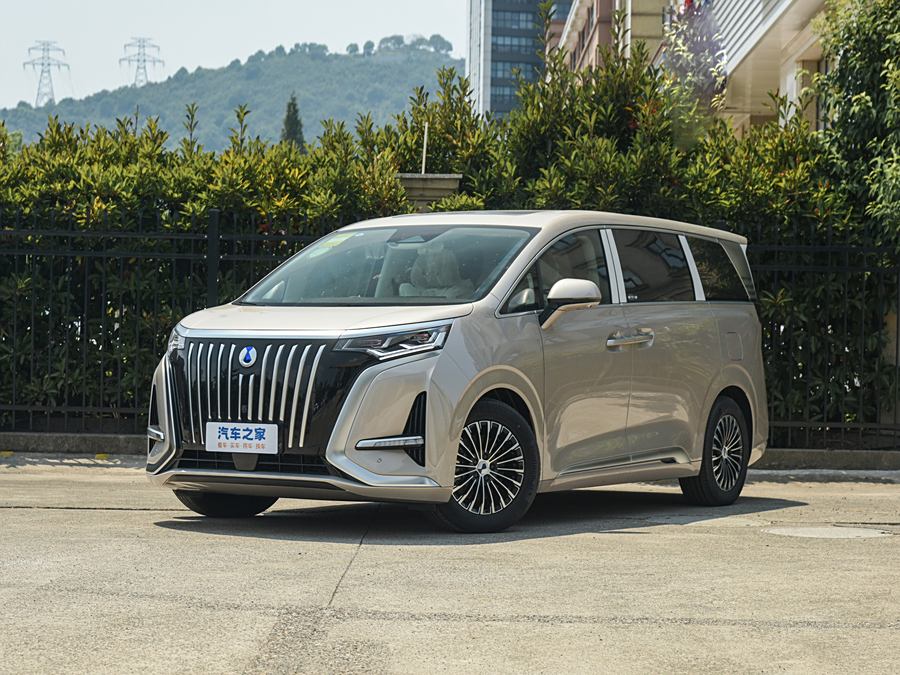 Фото 1 - Denza D9