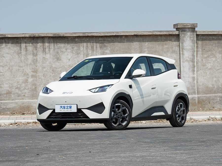 Фото 1 - BYD Seagull