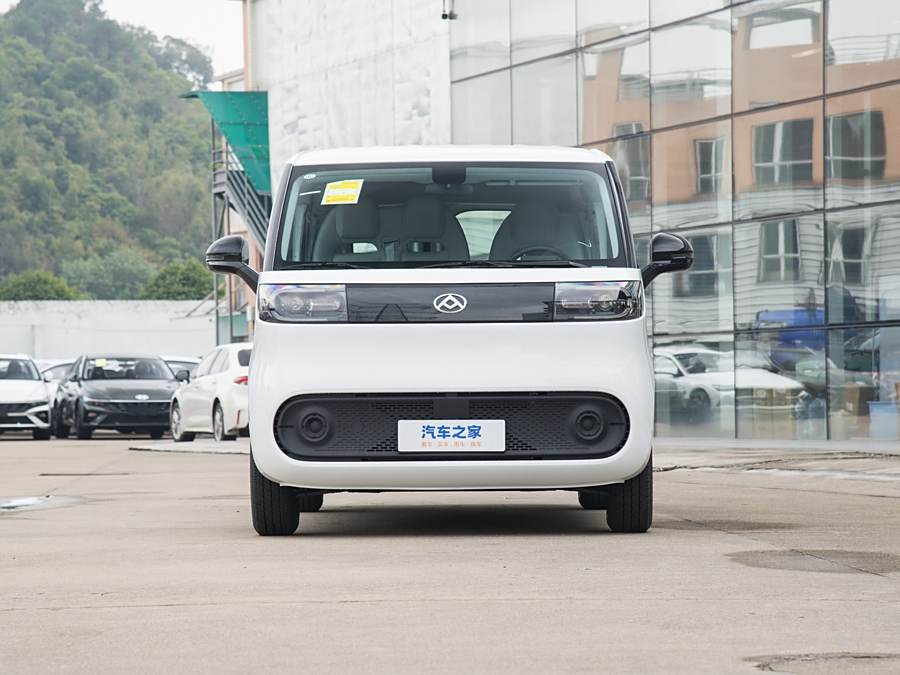 Фото 1 - Maxus Dana V1