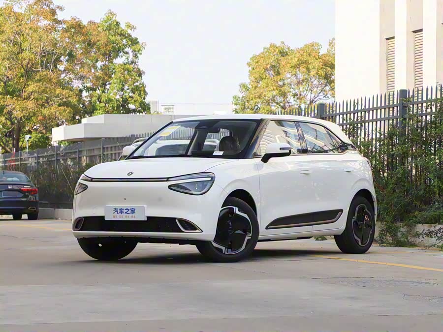 Фото 1 - Dongfeng Nammi 01