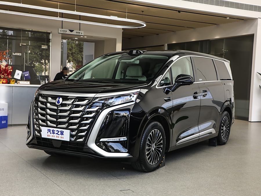 Фото 1 - Denza D9