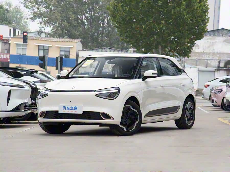 Фото 1 - Dongfeng Nammi 01