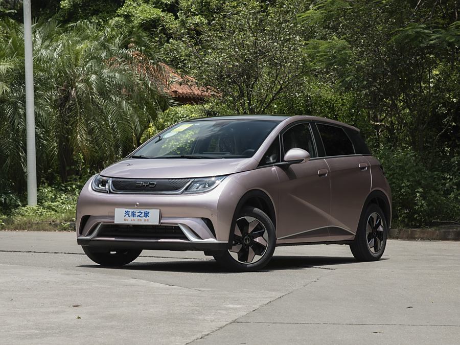 Фото 1 - BYD Dolphin