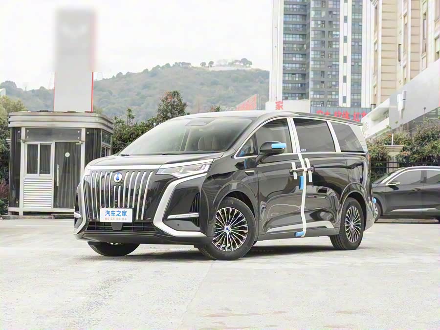 Фото 1 - Denza D9