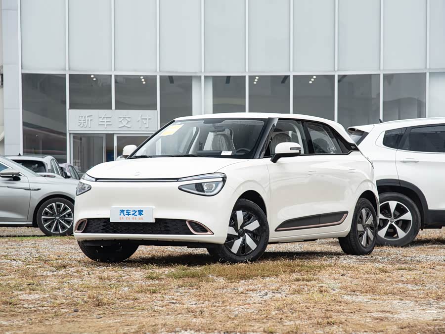 Фото 1 - Dongfeng Nammi 01