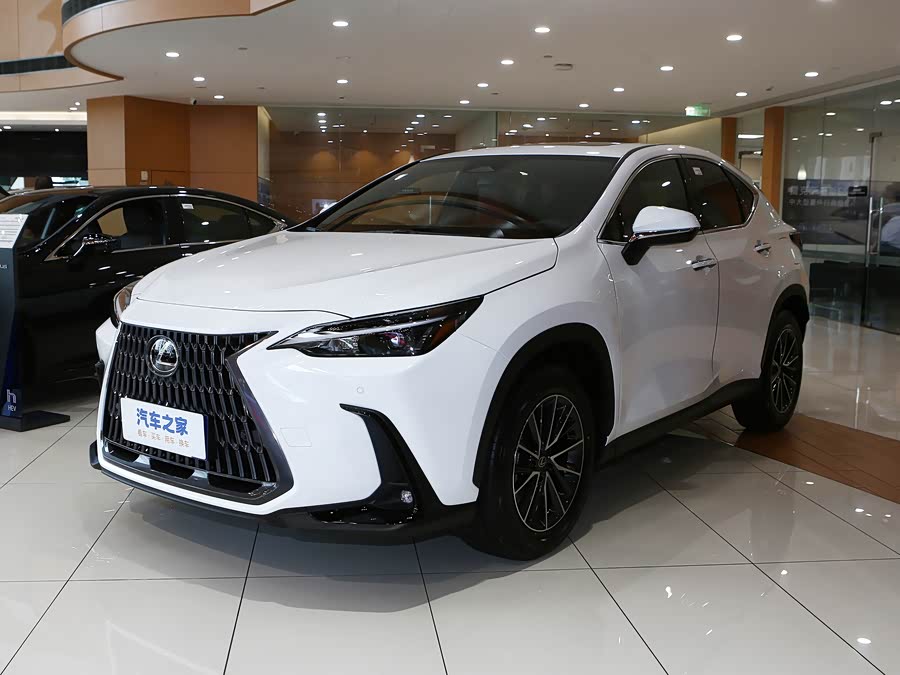 Фото 1 - Lexus NX