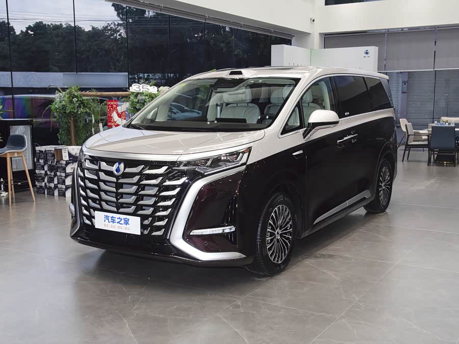 Фото 1 - Denza D9