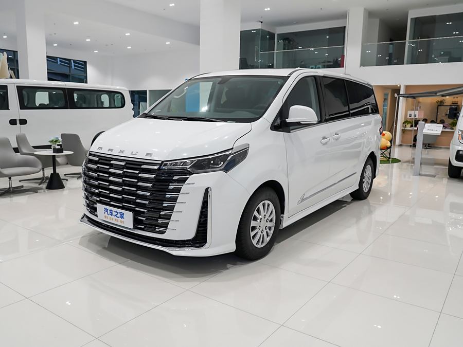 Фото 1 - Maxus G10