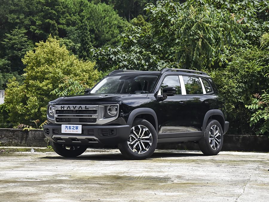 Фото 1 - Haval Dargo