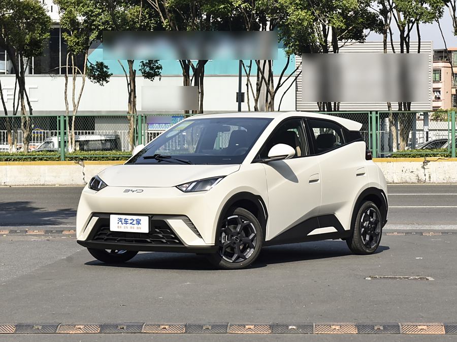 Фото 1 - BYD Seagull