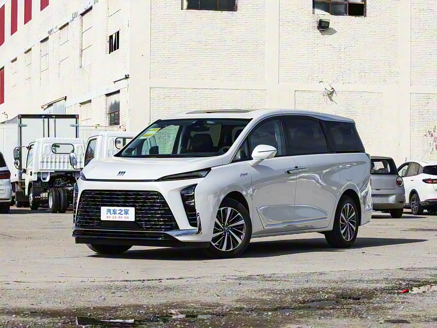 Фото 1 - Buick GL8 ES