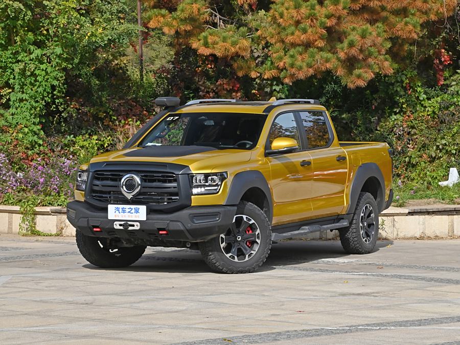 Фото 1 - Great Wall Shanhai Poer