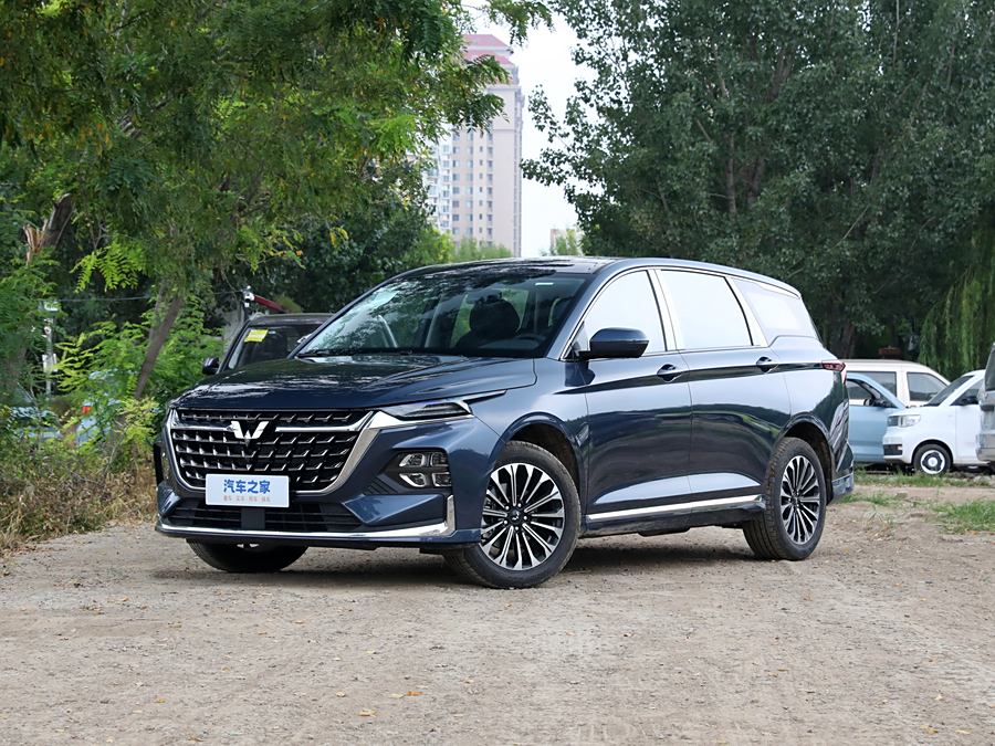 Wuling Victory 2023 2023款 280T CVT卓越型