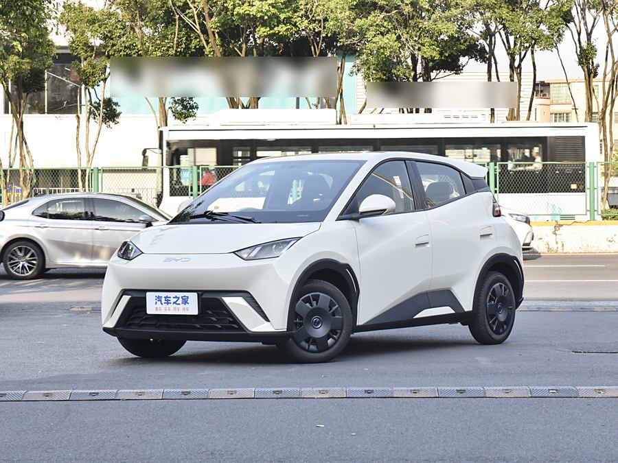 Фото 1 - BYD Seagull