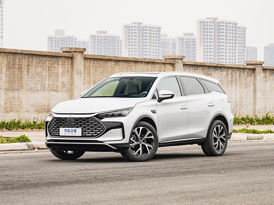 Фото 1 - BYD Tang Hybrid/EV