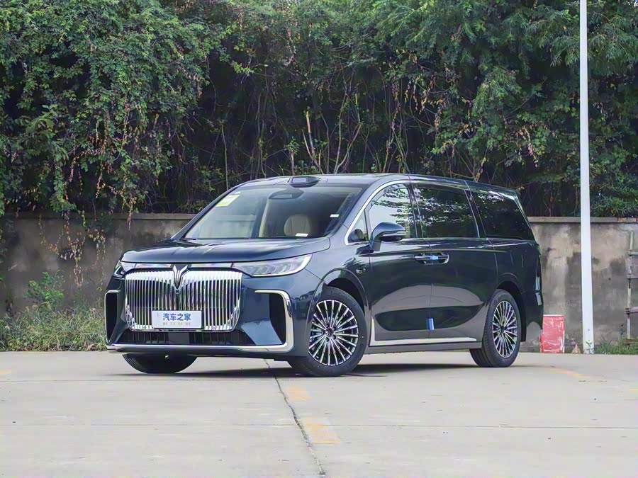 Фото 1 - Voyah Dream