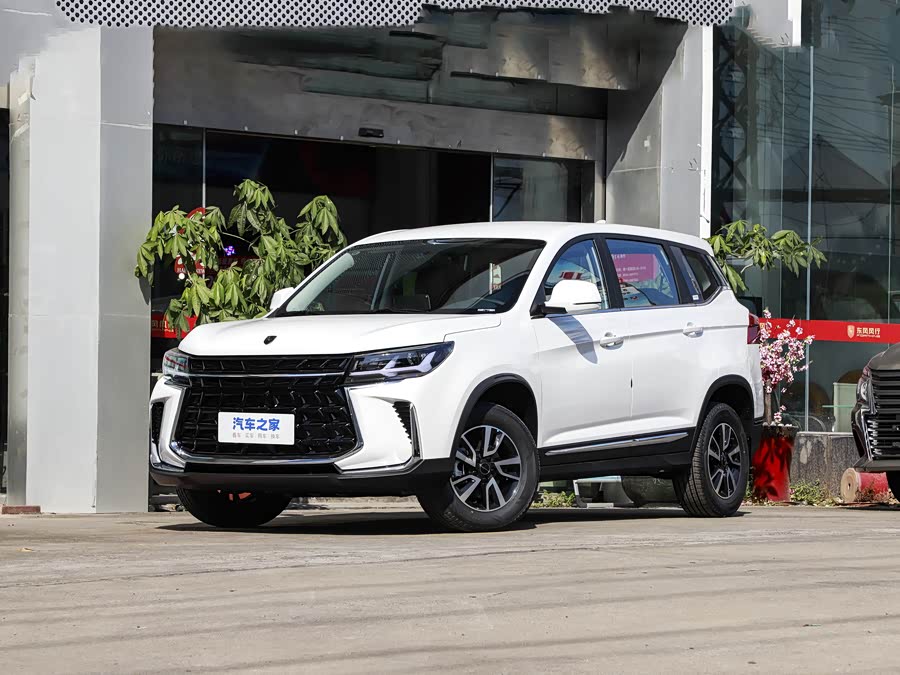 Фото 1 - Dongfeng Forthing T5