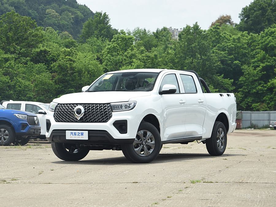 Фото 1 - Great Wall Pao