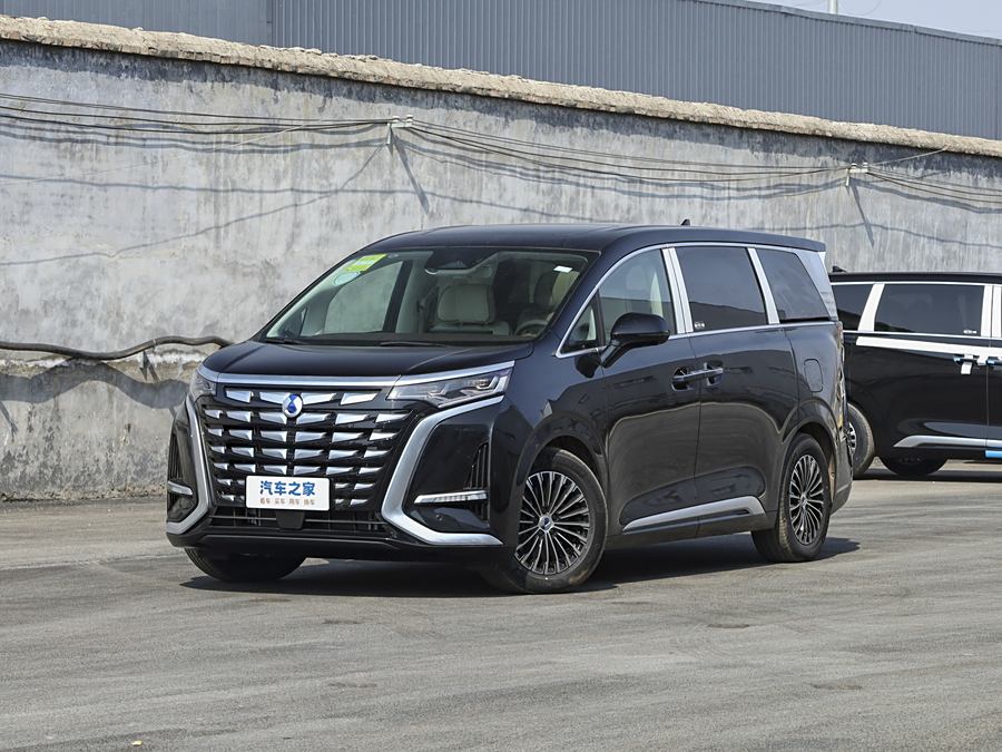 Фото 1 - Denza D9