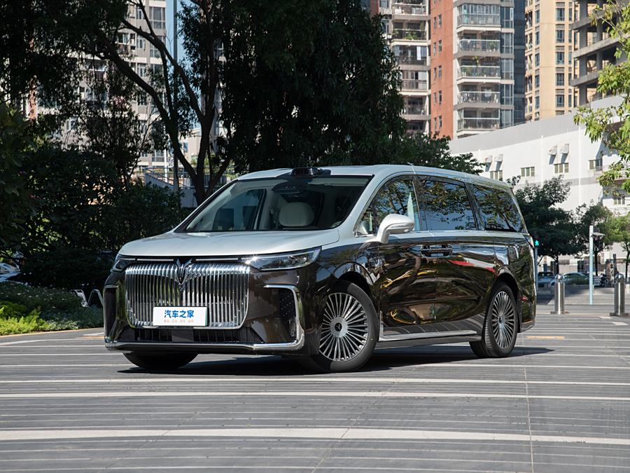 Фото 1 - Voyah Dream