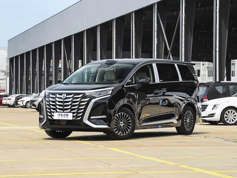 Фото 1 - Denza D9