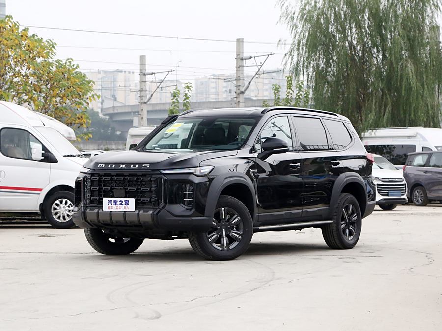 Фото 1 - Maxus Territory