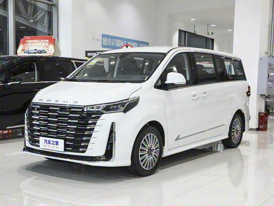 Фото 1 - Maxus G10