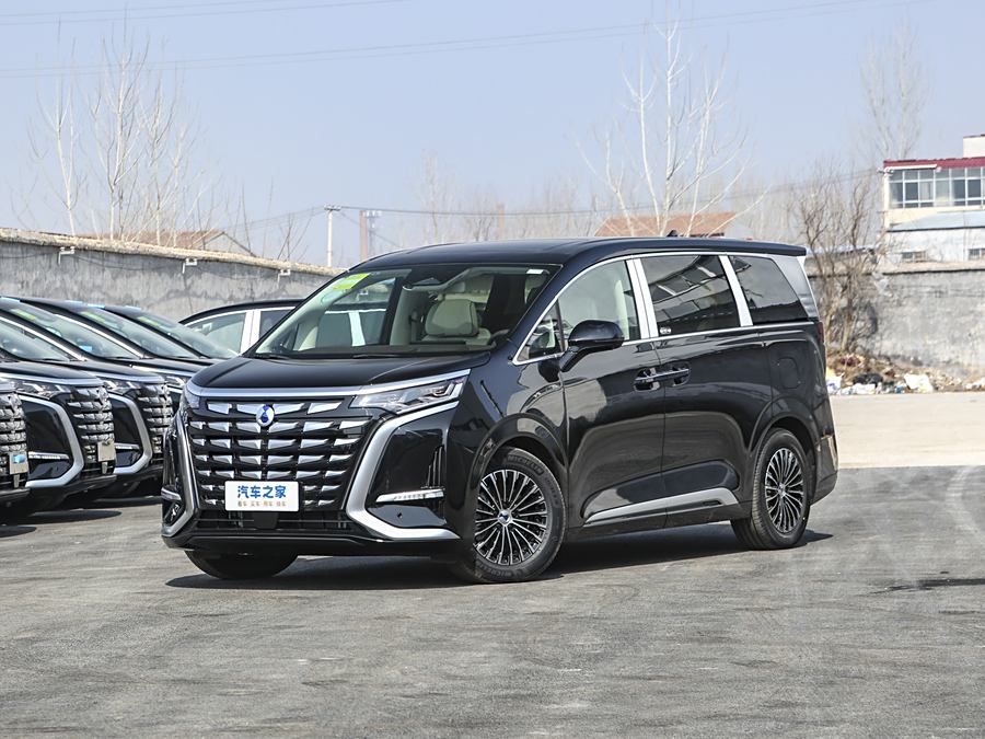 Фото 1 - Denza D9