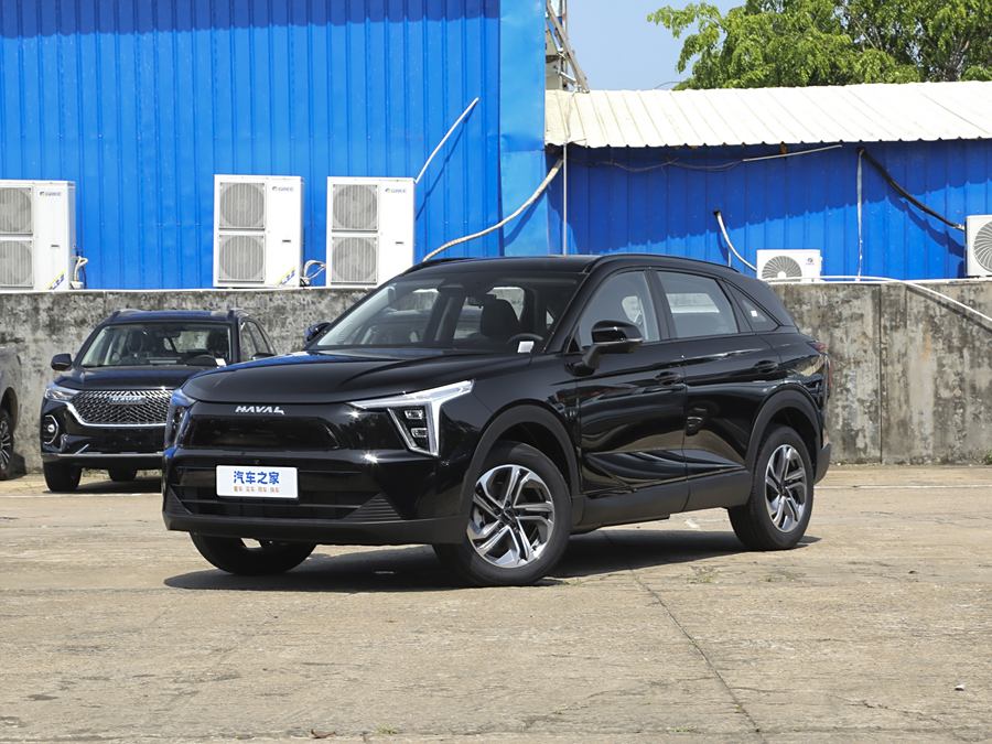 Фото 1 - Haval Ruge