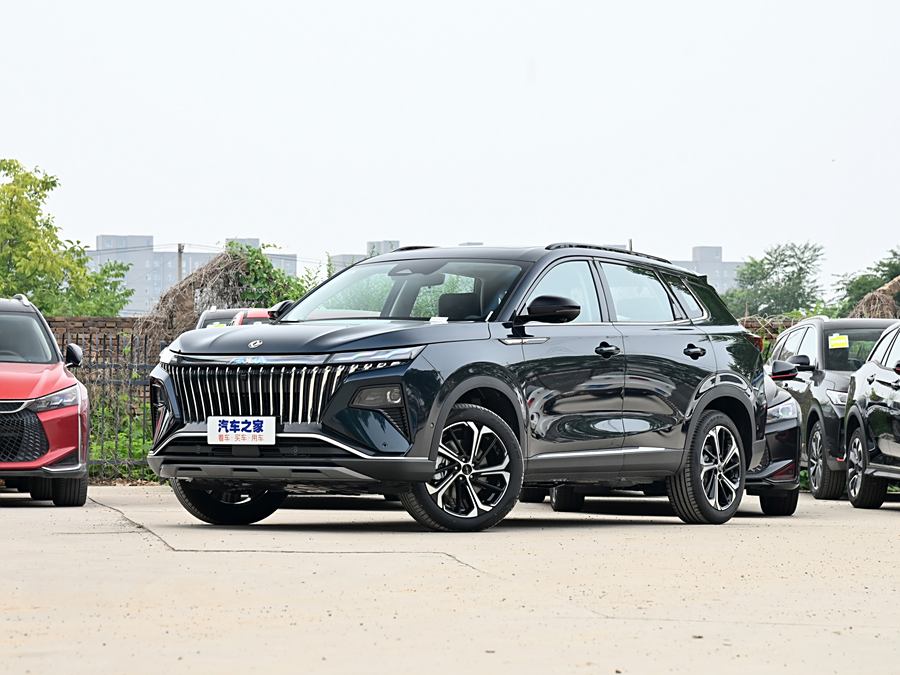 Фото 1 - Dongfeng Aeolus Haoji