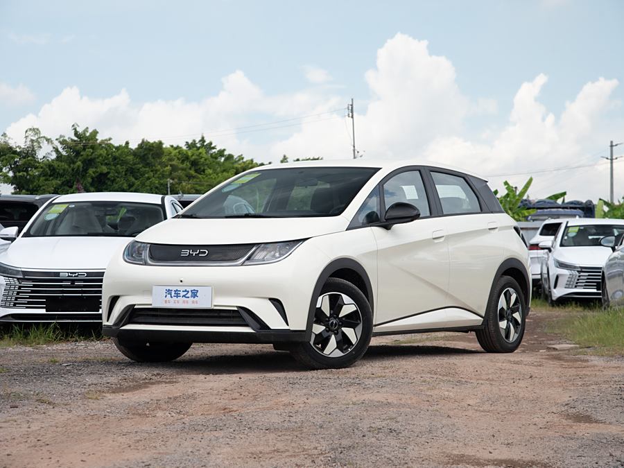 Фото 1 - BYD Dolphin