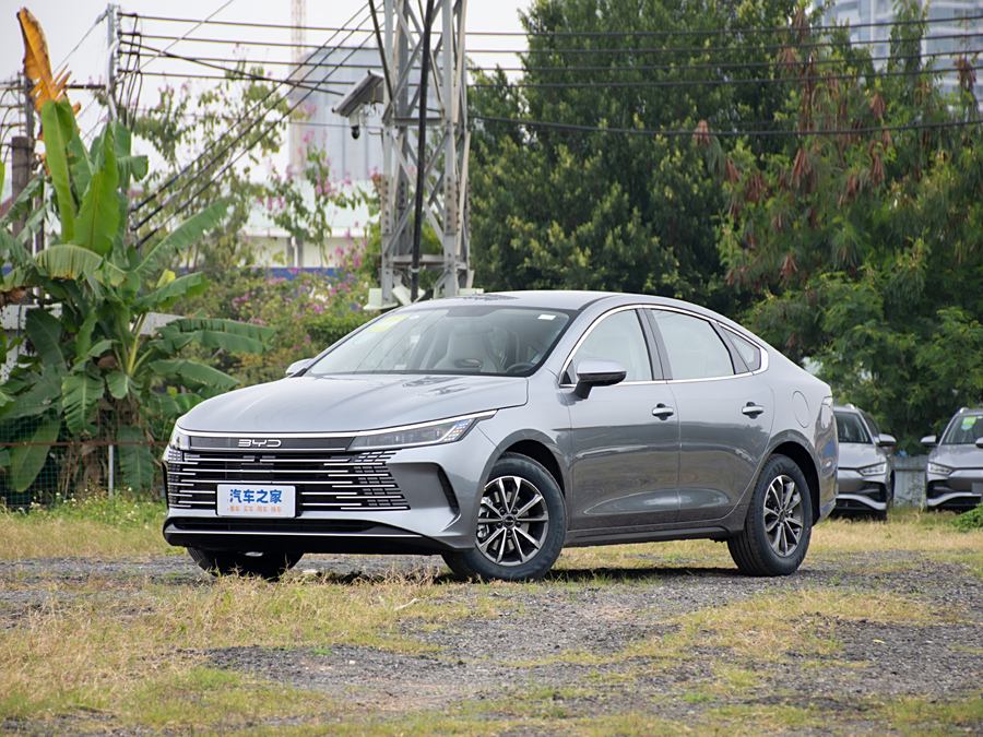 Фото 1 - BYD Destroyer 05