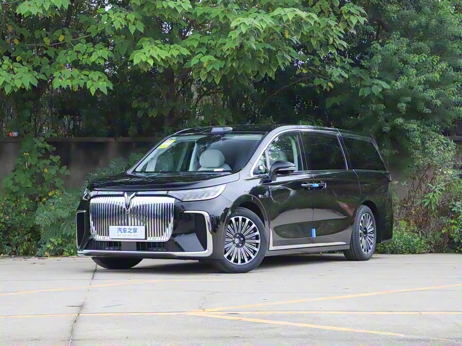 Фото 1 - Voyah Dream