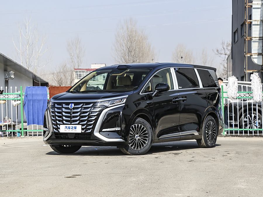 Фото 1 - Denza D9