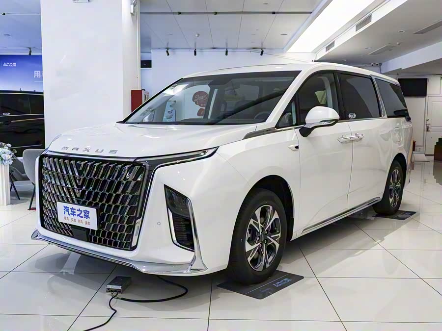 Фото 1 - Maxus G90