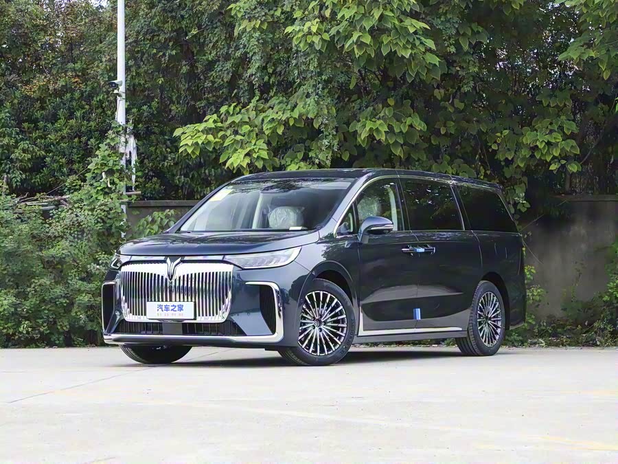 Фото 1 - Voyah Dream