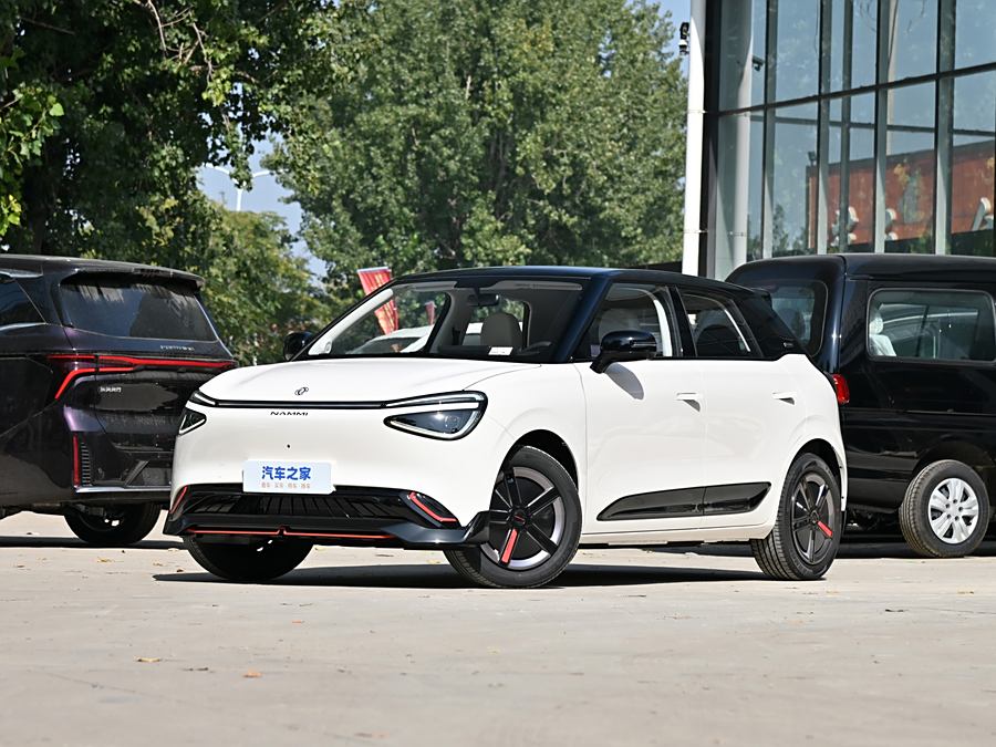 Фото 1 - Dongfeng Nammi 01