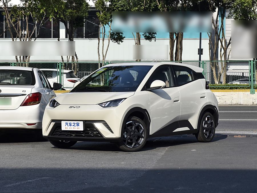 Фото 1 - BYD Seagull