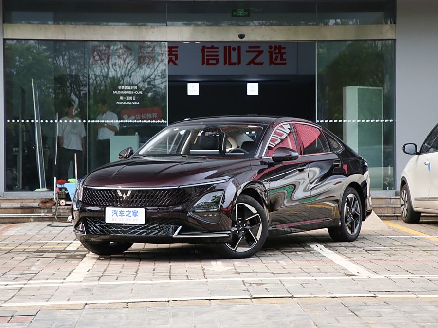 Wuling Starlight 2024 2024款 共创版 150 进阶型