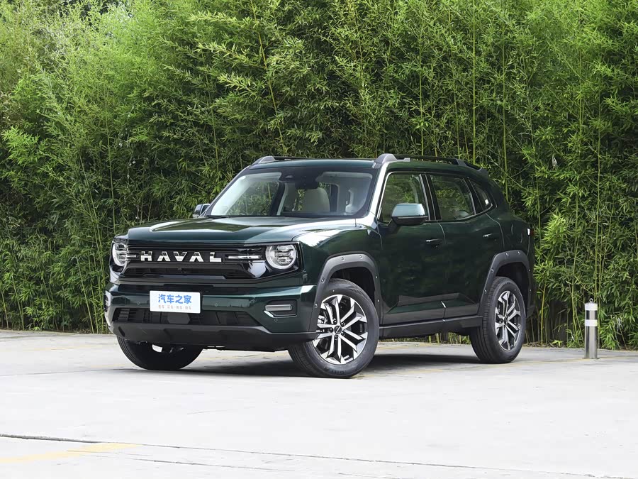 Фото 1 - Haval H-Dog