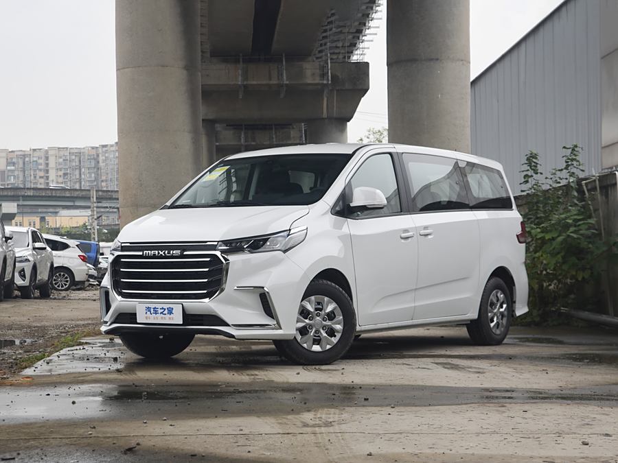 Фото 1 - Maxus G10