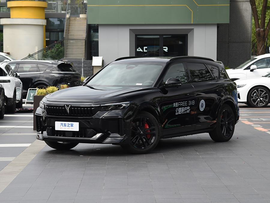 Фото 1 - Voyah Free