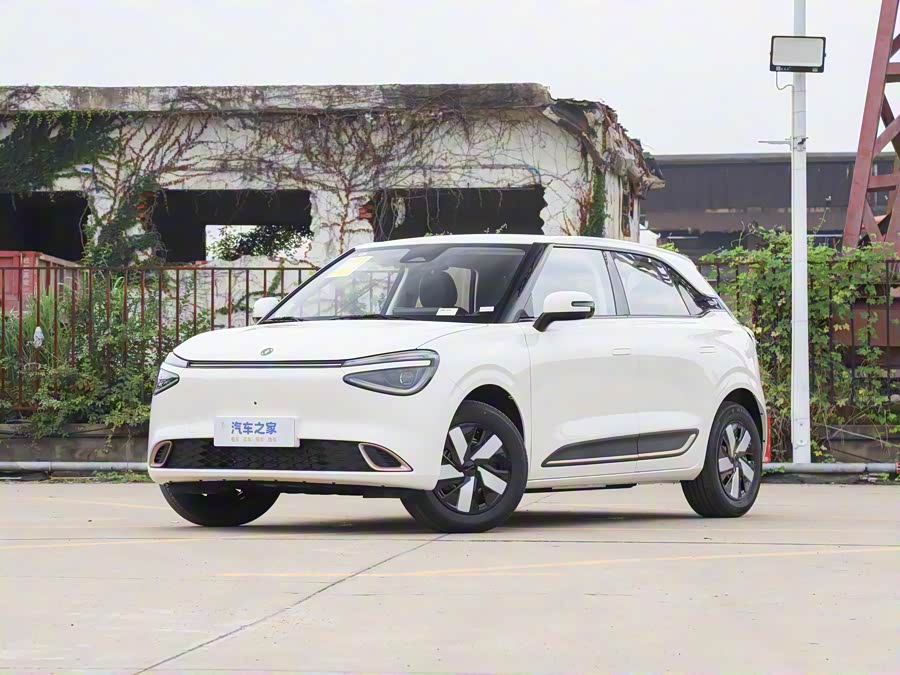 Фото 1 - Dongfeng Nammi 01