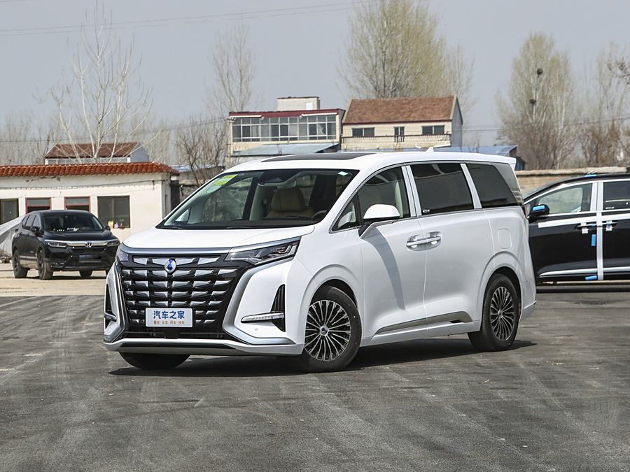 Фото 1 - Denza D9