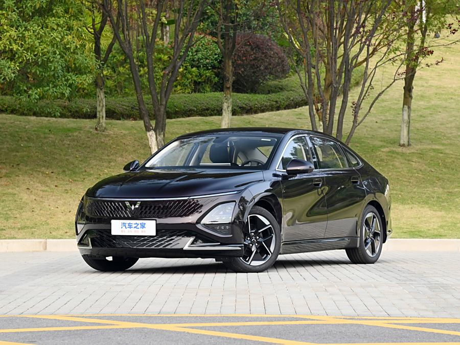 Wuling Starlight 2023 2023款 150 进阶版
